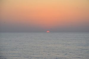 DSC_5249 (Small)