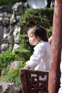 DSC_6433 (Small)