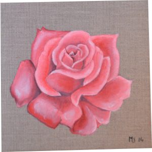 sene-2014-11-rose